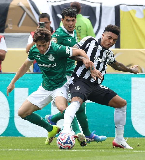 Palmeiras vence Botofogo e avança no Mundial de Clubes por Cesar Greco/Palmeiras