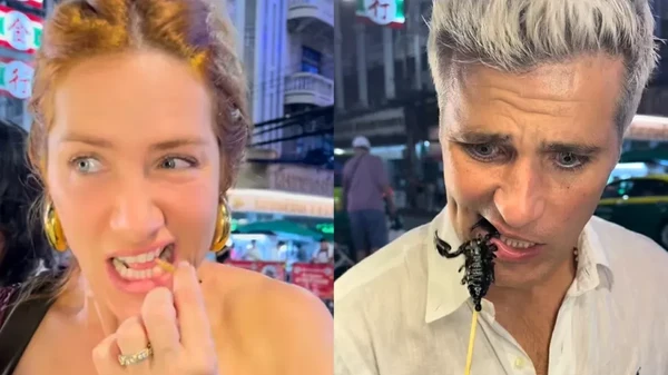 Gio Ewbank e Bruno Gagliasso experimentam insetos em viagem a Tailândia