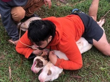Imagem - Lutador imobiliza dois pitbulls após sofrer ataque enquanto caminhava