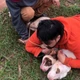 Imagem - Lutador imobiliza dois pitbulls após sofrer ataque enquanto caminhava