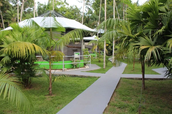  Centro Nacional de Primatas (CENP) por Reprodução