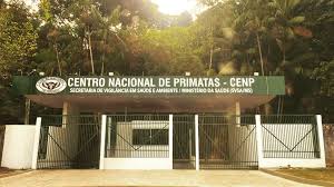  Centro Nacional de Primatas (CENP) por Reprodução