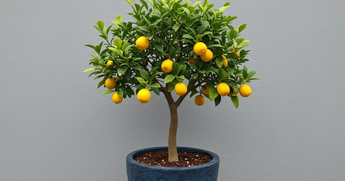 Imagem - 4 árvores frutíferas que você pode cultivar em vasos