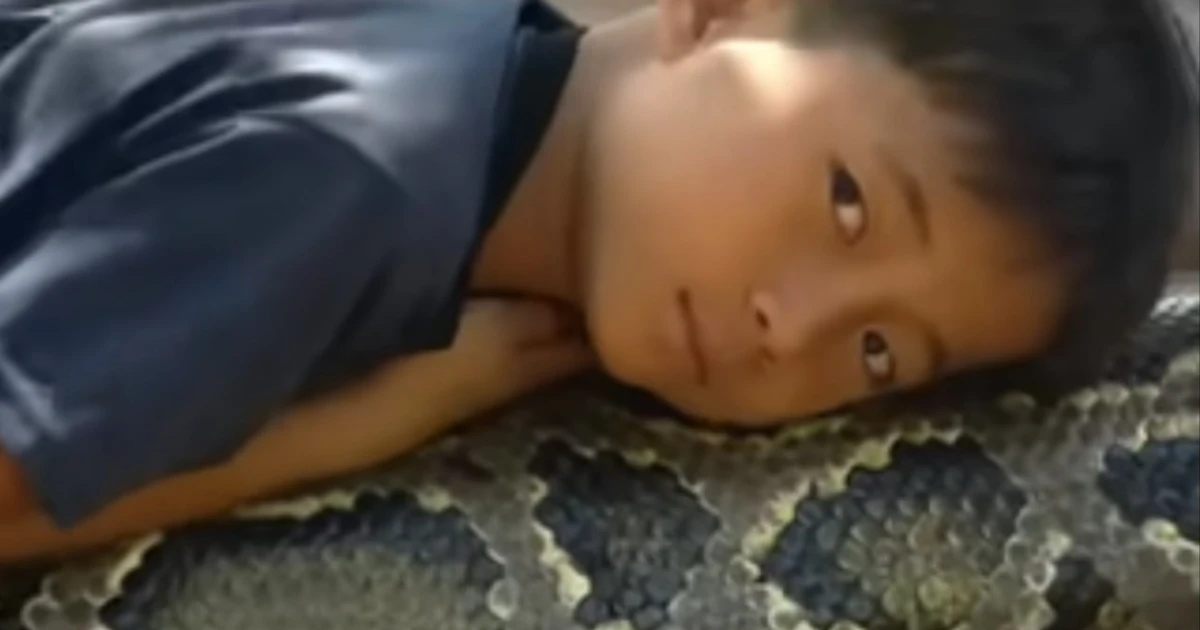 Imagem - De anjo da guarda a ameaça: conheça a história de menino que dormia com cobra gigante