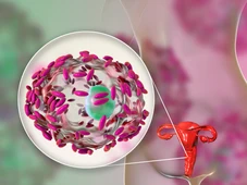 Imagem - Veja nove dicas para proteger a flora vaginal e evitar infecções