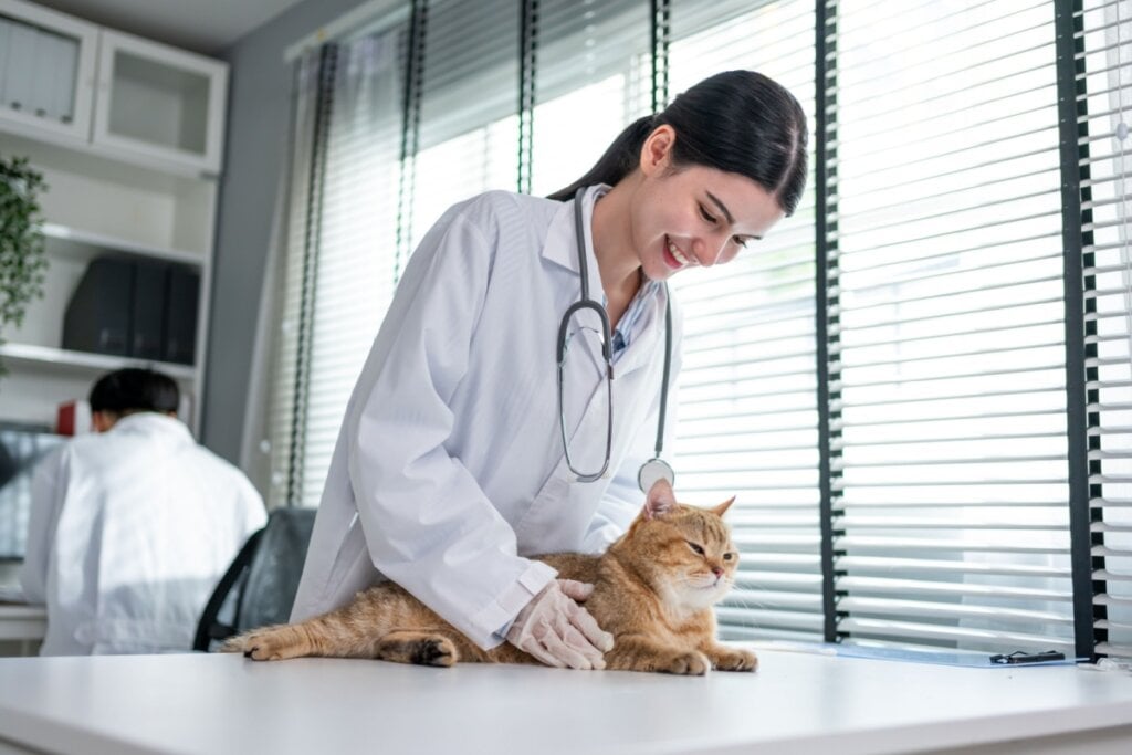 Campanhas públicas de vacinação facilitam a proteção dos animais de estimação (Imagem: Hananeko_Studio | Shutterstock)