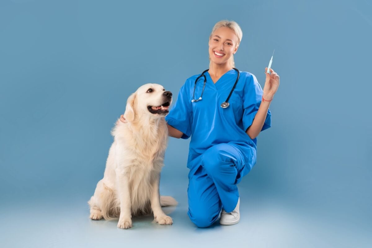 Julho Dourado conscientiza a população sobre a importância da vacinação para pets (Imagem: Prostock-studio | Shutterstock)