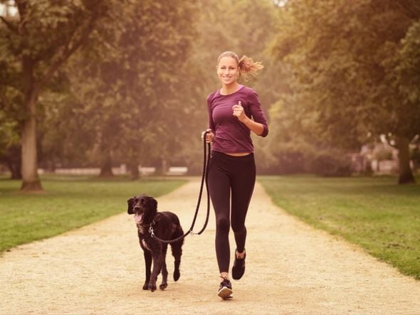 Imagem - 8 dicas para começar a praticar corrida com o cachorro