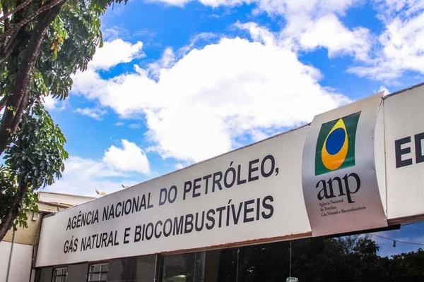 Cargos estão disponíveis na ANP por Reprodução