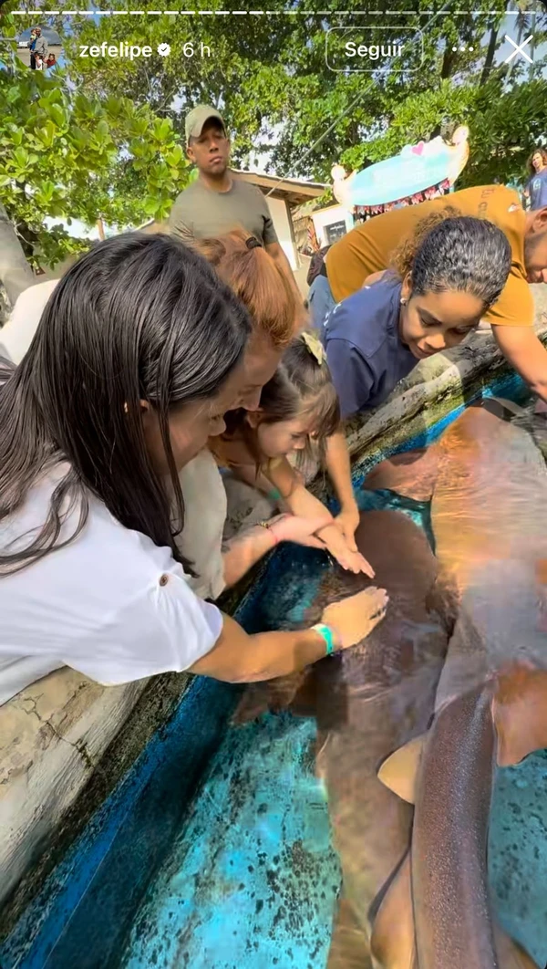 Zé Felipe leva filhos para Projeto Tamar na Praia do Forte por Reprodução / Instagram