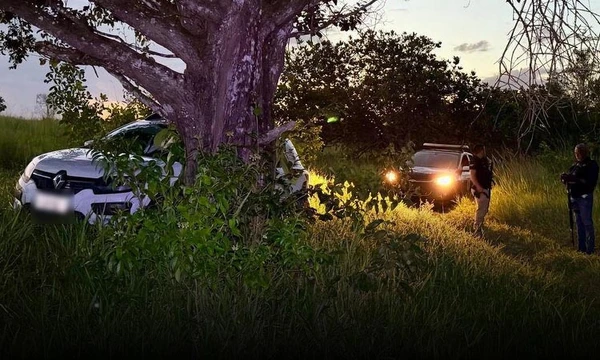 Carro foi encontrado em área de mata por Reprodução