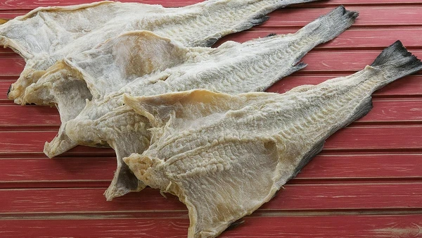 Por que o nome científico é essencial para identificar o verdadeiro bacalhau
