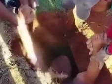 Imagem - Homem cai e fica preso em cova durante enterro de familiar