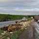 Imagem - PRF interdita trecho de Feira de Santana após tombamento de caminhão carregado de manga