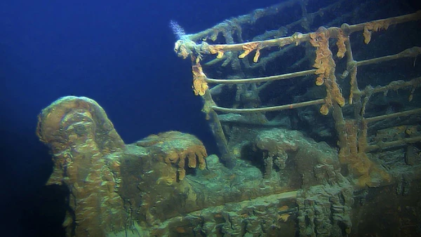 Objeto encontrado em escaneamento 3D pode ser joia rara ou fóssil de tubarão pré-histórico