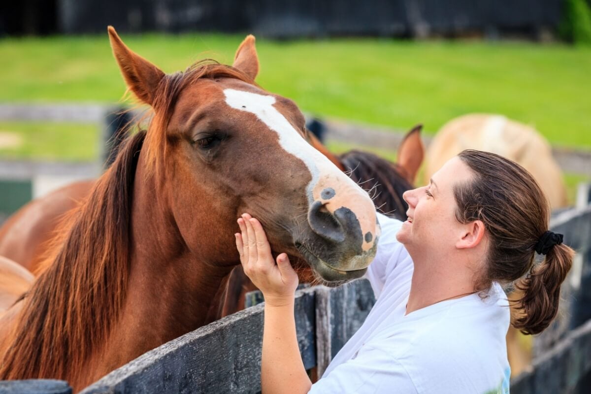A equoterapia beneficia a saúde física e mental (Imagem: Alexey Stiop | Shutterstock)
