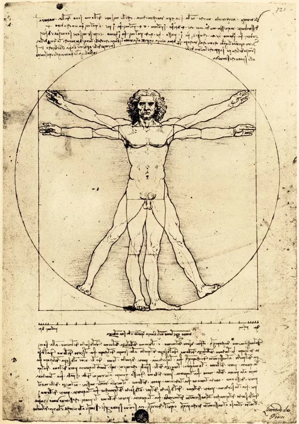 Imagem do Homem Vitruviano, por Leonardo Da Vinci