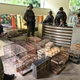 Imagem - Polícia resgata 150 aves e prende sete homens em Feira de Santana