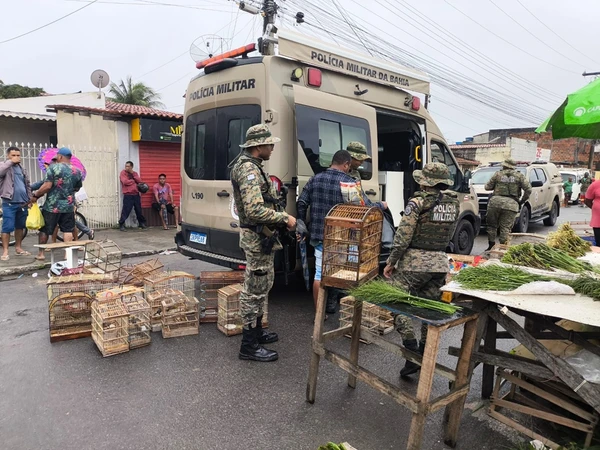 Aves estavam em gaiolas numa feira livre por Divulgação/ Coppa