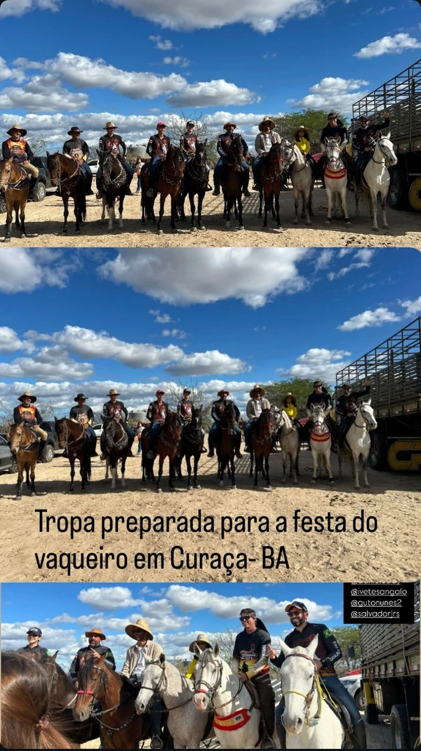 Festa do Vaqueiro - Curaça (BA) por Reprodução