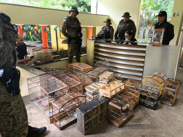PM resgata 150 aves e prende sete homens em Feira de Santana