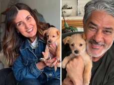 Imagem - Fátima Bernardes e Bonner posam com novo integrante da família: 'Bruce William'