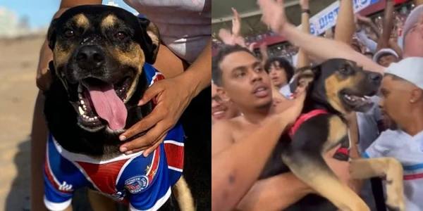 Apolo no meio da 