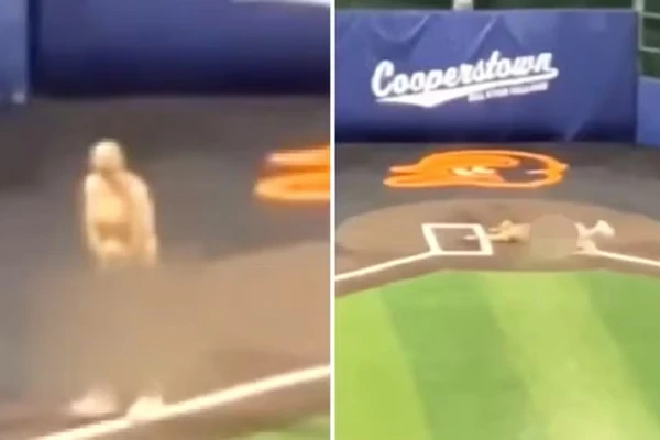 Treinadores de equipe de base de beisebol correm nus por gramado nos EUA