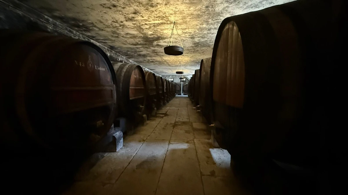 Vinhos ficam armazenados em imensos barris  por Fernanda Varela/CORREIO