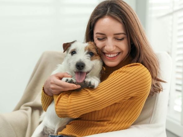 Imagem - Veja como identificar a alergia a animais de estimação