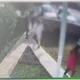 Imagem - Vídeo mostra momento em que alunos fogem de ataque com faca em escola no RS