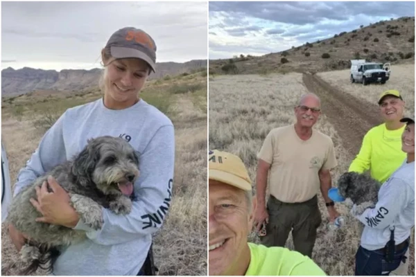 Cachorro foi resgatado por socorristas