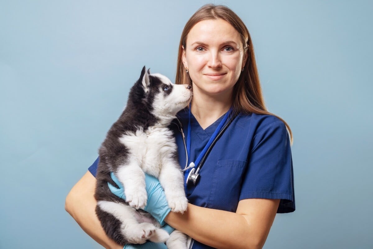 O sistema imunológico em formação torna os filhotes de pets mais suscetíveis a infecções, vírus e bactérias (Imagem: Andrii Spy_k
| Shutterstock)