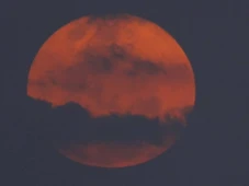 Imagem - 'Lua do veado' poderá ser vista durante 12h em diversos pontos do Brasil