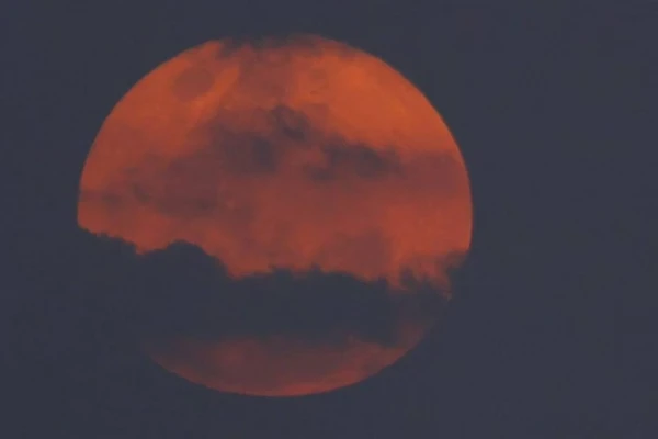 'Lua cheia do veado' aparece no céu hoje