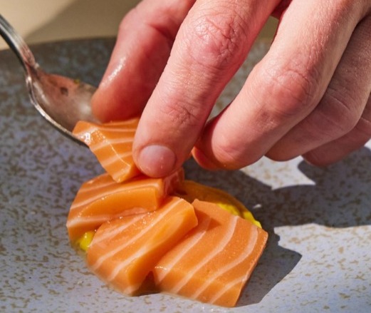 Prato feito com carne sintética de salmão da empresa Wildtype por Reprodução