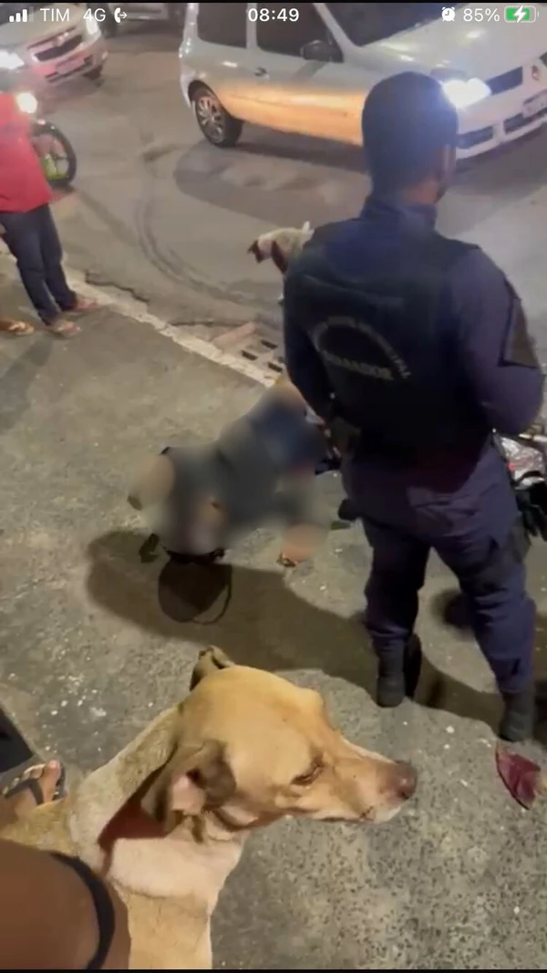 Suspeito foi baleado por PM por Reprodução