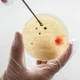 Imagem - Uma nova forma de vida? Cientistas criam embriões completos sem espermatozoides nem óvulos