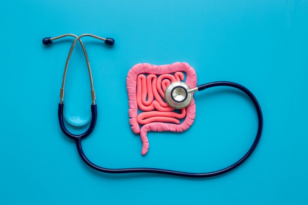 Distúrbios na flora intestinal podem afetar o humor e a imunidade (Imagem: 9dream studio | Shutterstock)