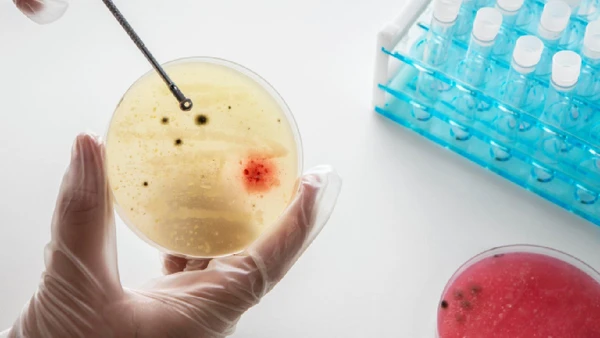 Embriões criados sem fertilização 