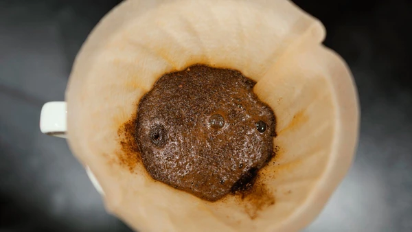 a borra do café pode ser sua companheira diária
