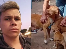 Imagem - Jovem atacado por três pitbulls tem orelha dilacerada e artéria rompida