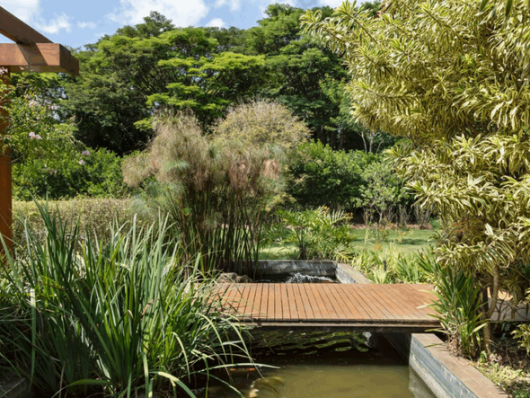 Imagem - 5 cuidados essenciais com as plantas no inverno