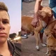 Imagem - Jovem atacado por três pitbulls tem orelha dilacerada e artéria rompida