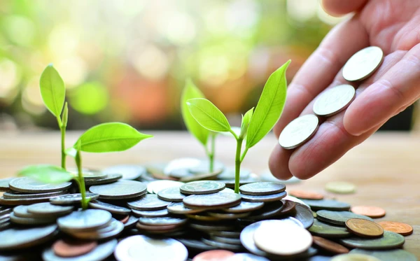 As soluções para problemas socioambientais por meio de modelos de negócios na Economia de Impacto