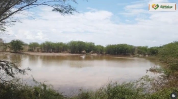 Santaluz por Reprodução