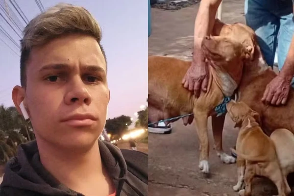 Valmir Pereira Lima Júnior foi atacado