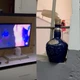 Imagem - Bebidas importadas e até banheiro exclusivo: veja os privilégios que líderes do BDM tinham na PLB