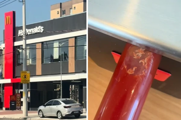 Internauta encontrou larvas em recipiente de Ketchup da rede de fast food