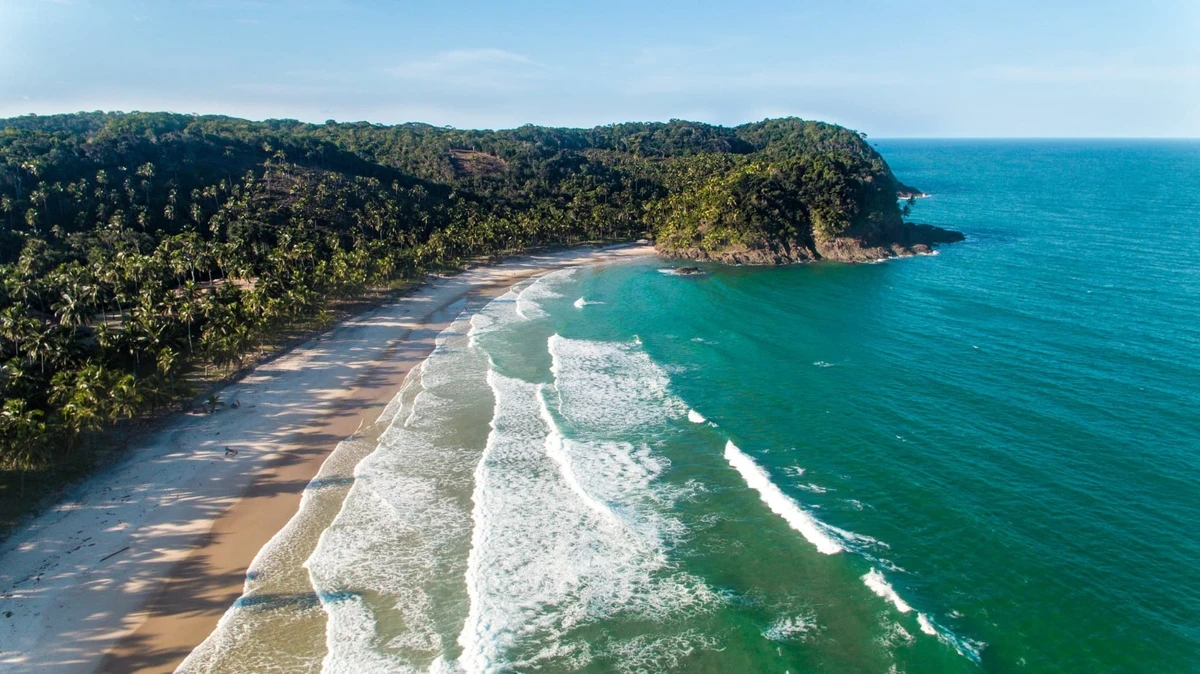 Serra Grande, no município de Uruçuca por Reprodução